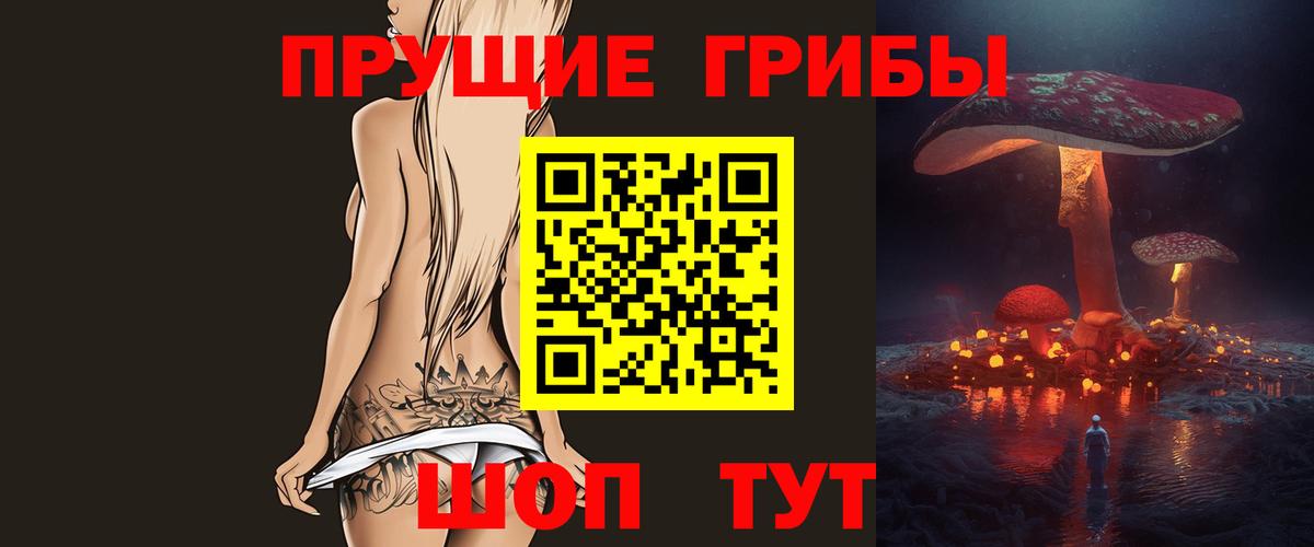 Псилоцибиновые грибы мицелий  Вход с VPN  Котлас  Псилоцибиновые грибы MAGIC MUSHROOMS 